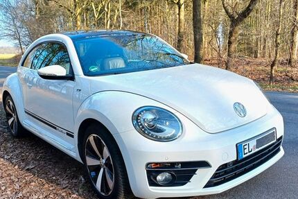 VW Beetle 73.500 km 14.785 &euro; Meppen 49716