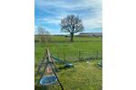 Bungalow Kleve - 7 Zimmer, 136 m&sup2;, 543.000&euro; | Angebot:26442053