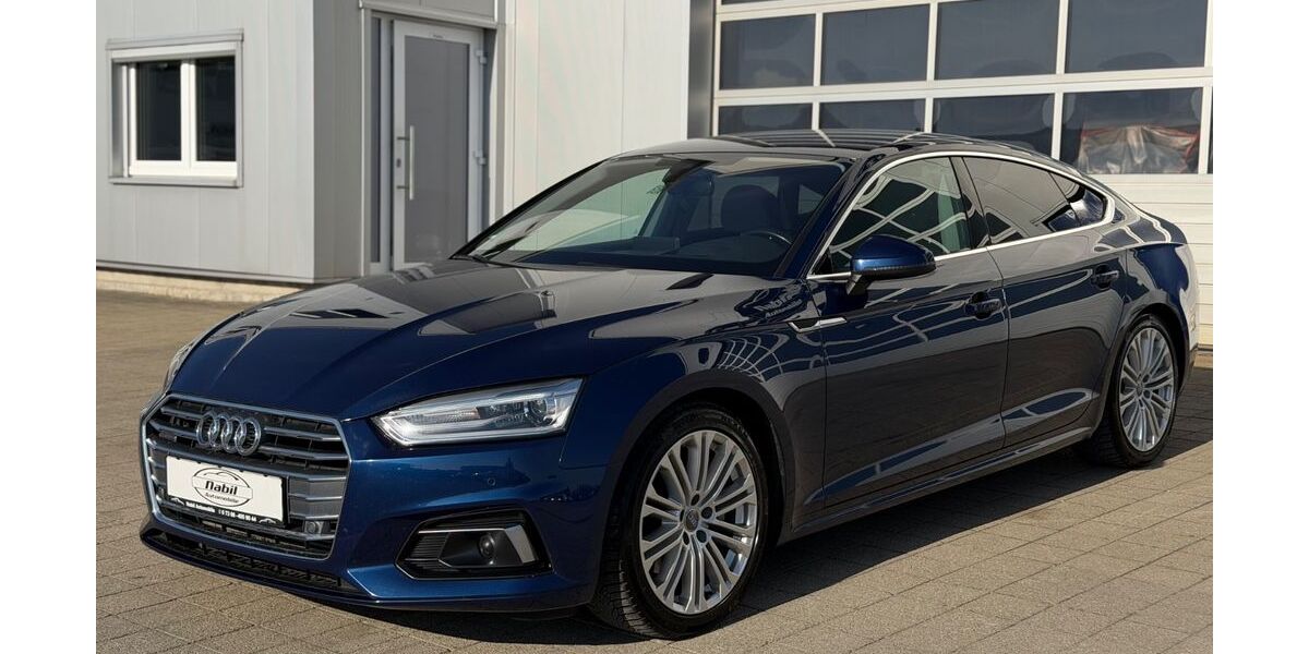 Audi A5 210.000 km 16.490 &euro; Elchingen 89275