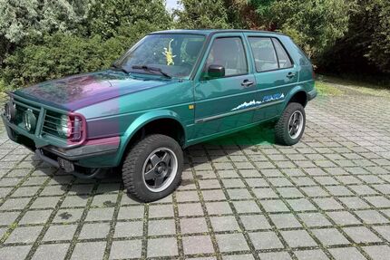 VW Golf 224.700 km 12.495 &euro; Wolfsburg 38448