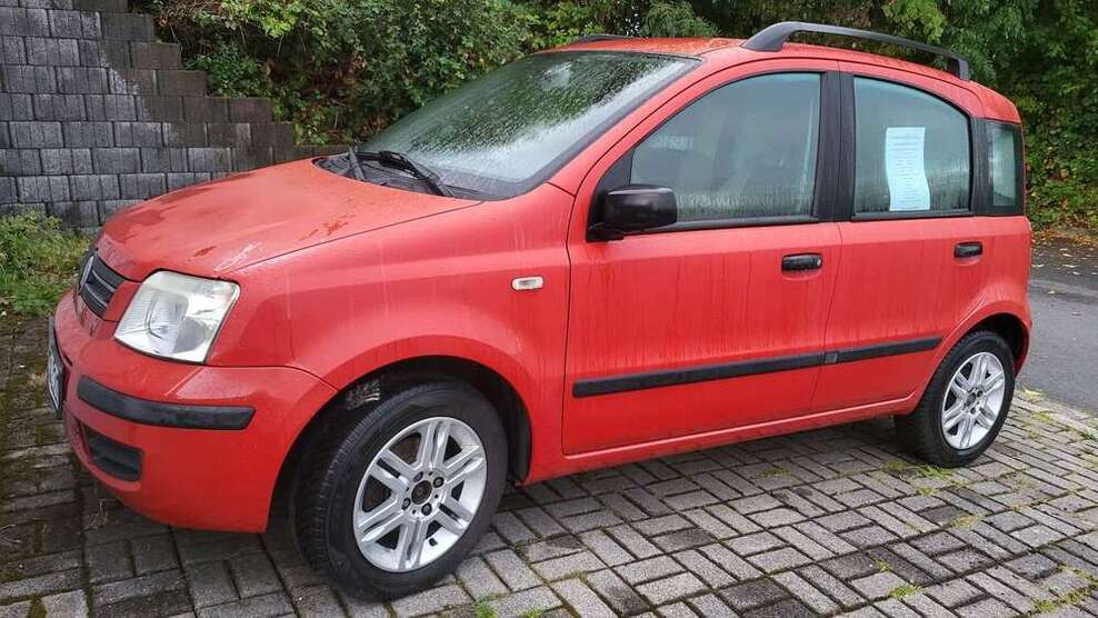 Panda