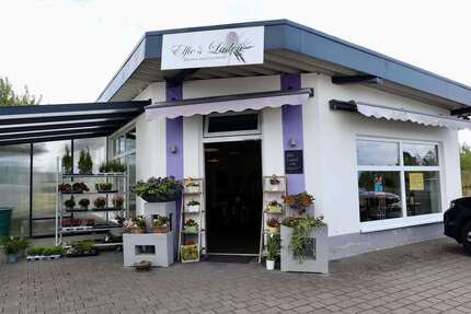 Gewerbeobjekt Dohr - 145.000&euro; | Angebot:25198937