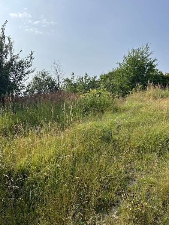 Grundstück zu verkaufen in Nöham 270.000 € 2400 m²