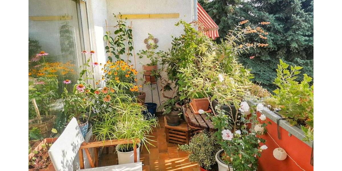 Etagenwohnung Weiterstadt - 3 Zimmer, 84 m&sup2;, 295.000&euro; | Angebot:26741889