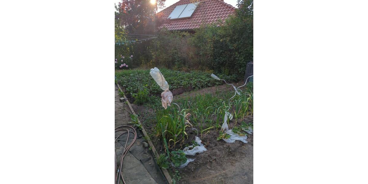 Bungalow Goldberg - 3 Zimmer, 106 m&sup2;, 260.000&euro; | Angebot:25752117