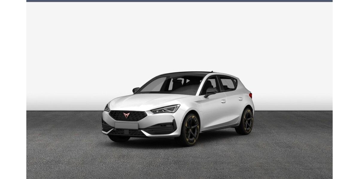 Cupra Leon 24.990 km 23.990 &euro; Heide 25746