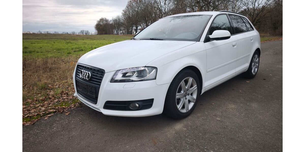Audi A3 174.500 km 7.900 € Wolfsburg 38440