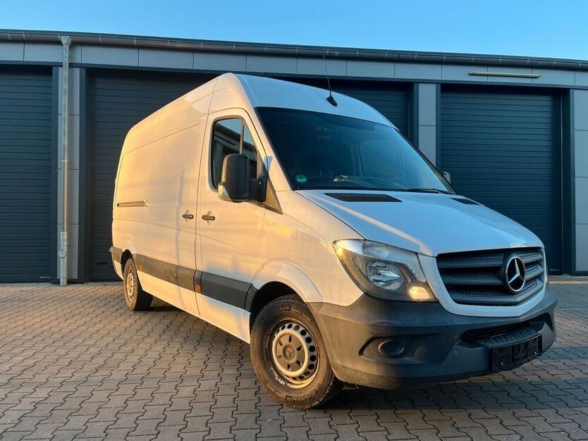 Sprinter