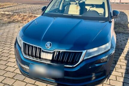 Skoda Kodiaq 287.600 km 16.900 &euro; Erfurt 99091