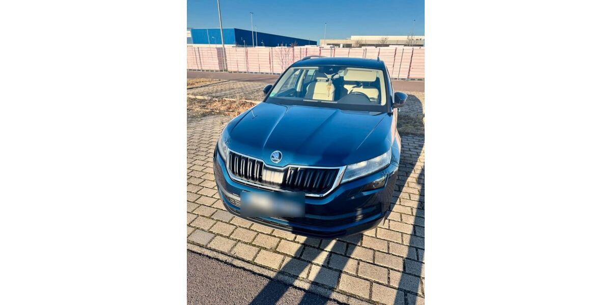Skoda Kodiaq 287.600 km 18.500 &euro; Erfurt 99091