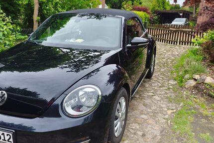 VW Beetle 161.200 km 10.499 &euro; Faßberg 29328