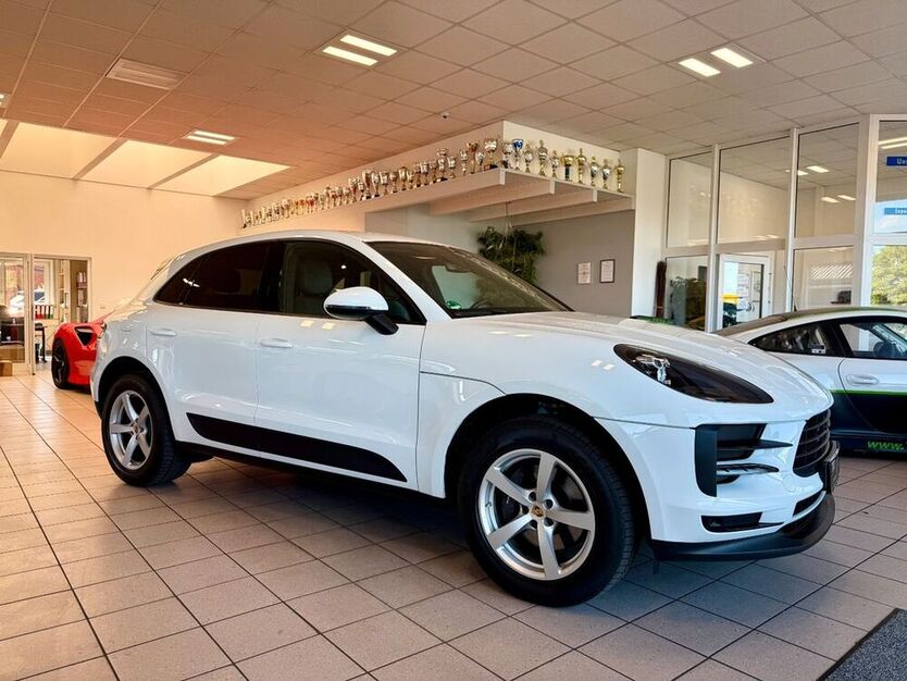 Macan