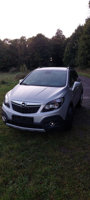 Mokka
