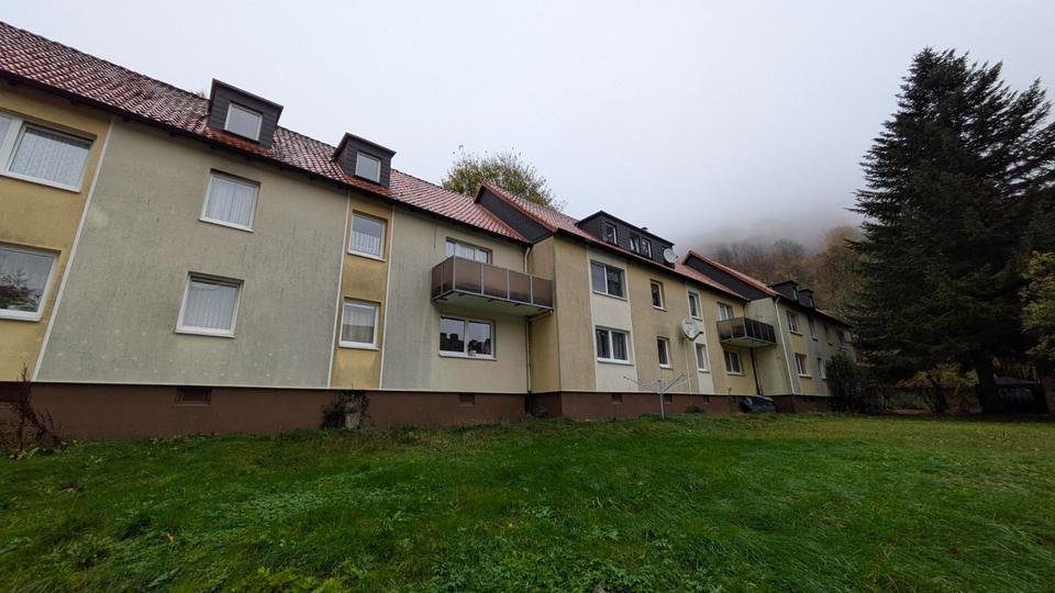 Etagenwohnung Bad Grund (Harz) - 3 Zimmer, 55 m&sup2;, 358&euro; | Angebot:23566997