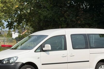 VW Caddy Maxi 279.956 km 10.591 &euro; Bad Bentheim 48455