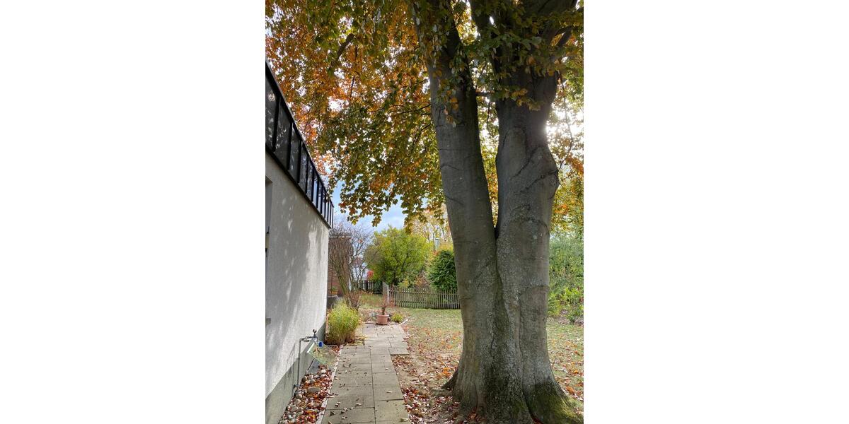 Einfamilienhaus Regensburg Konradsiedlung - 5 Zimmer, 135 m&sup2;, 2.190&euro; | Angebot:24752741