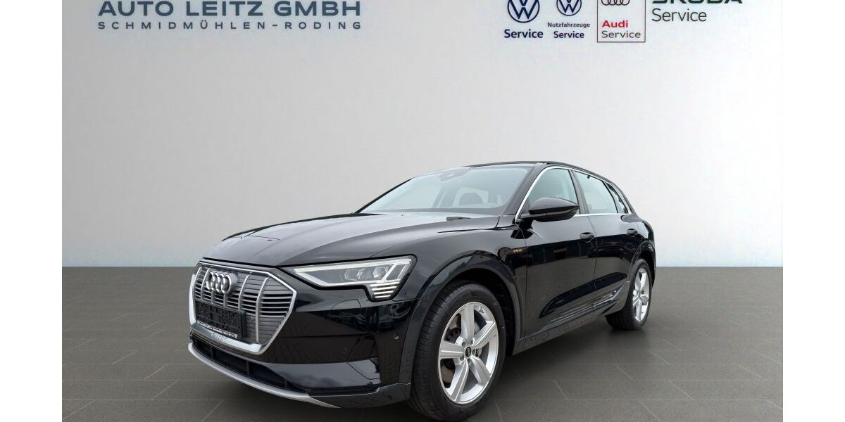 Audi e-tron 98.040 km 30.440 &euro; Schmidmühlen 92287