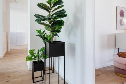 Haus Steinfurt - 6 Zimmer, 113 m&sup2;, 469.000&euro; | Angebot:25044750