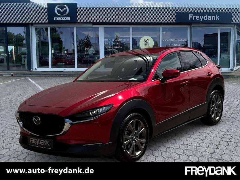 CX-30
