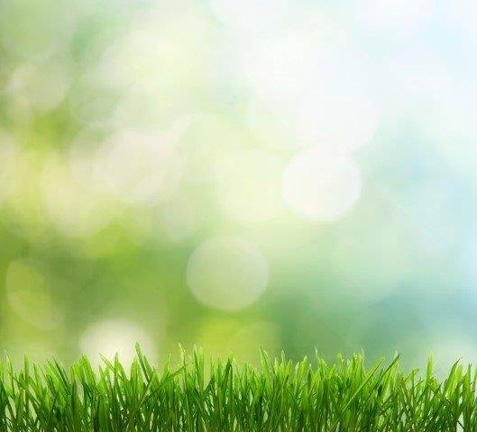 Grundstück Aschersleben - 69.000&euro; | Angebot:25745281