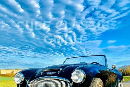 Austin Healey Andere