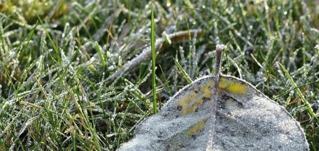 Grundstück zu verkaufen zimmer