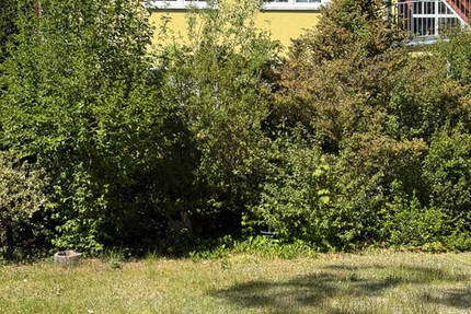 Maisonette-Wohnung in schöner Lage, bezugsfrei 2 zimmer