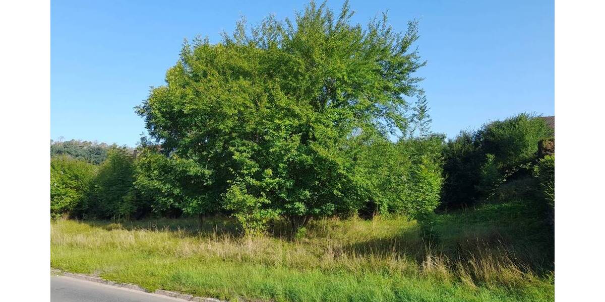 Grundstück Kammerstein-Oberreichenbach Oberreichenbach - 399.000&euro; | Angebot:25681340