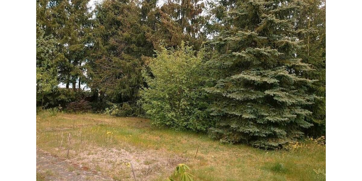 Einfamilienhaus Möckern - 4 Zimmer, 113 m&sup2;, 172.000&euro; | Angebot:26515286