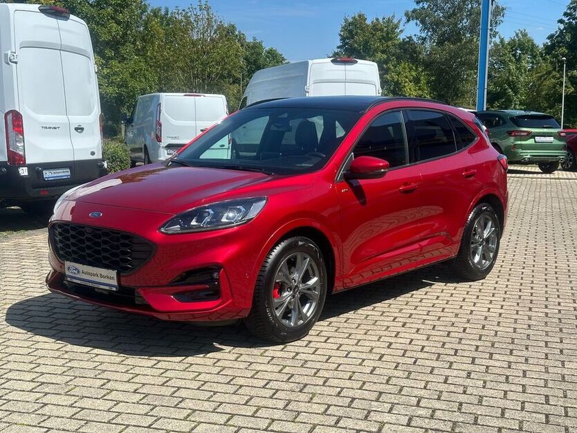 Kuga