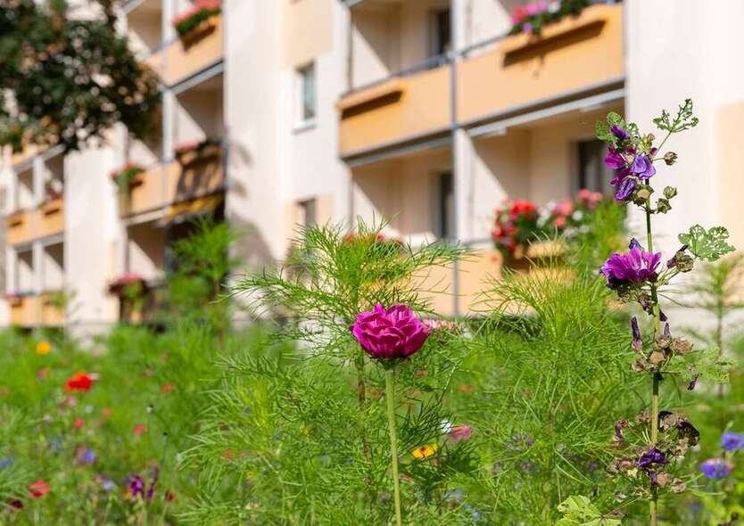 Wohnung zum Mieten in Chemnitz 352 € 57.5 m²