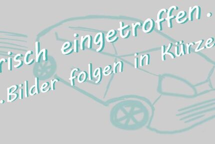 Nissan Leaf 5.366 km 29.950 € Idar-Oberstein 55743