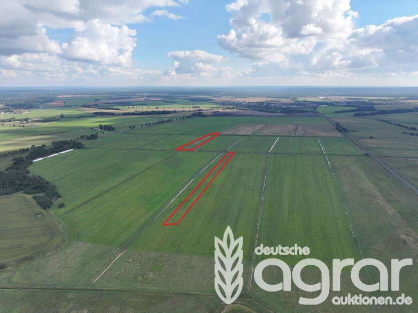 Grundstück in Ferdinandshof 39.900 € 52930 m² zimmer