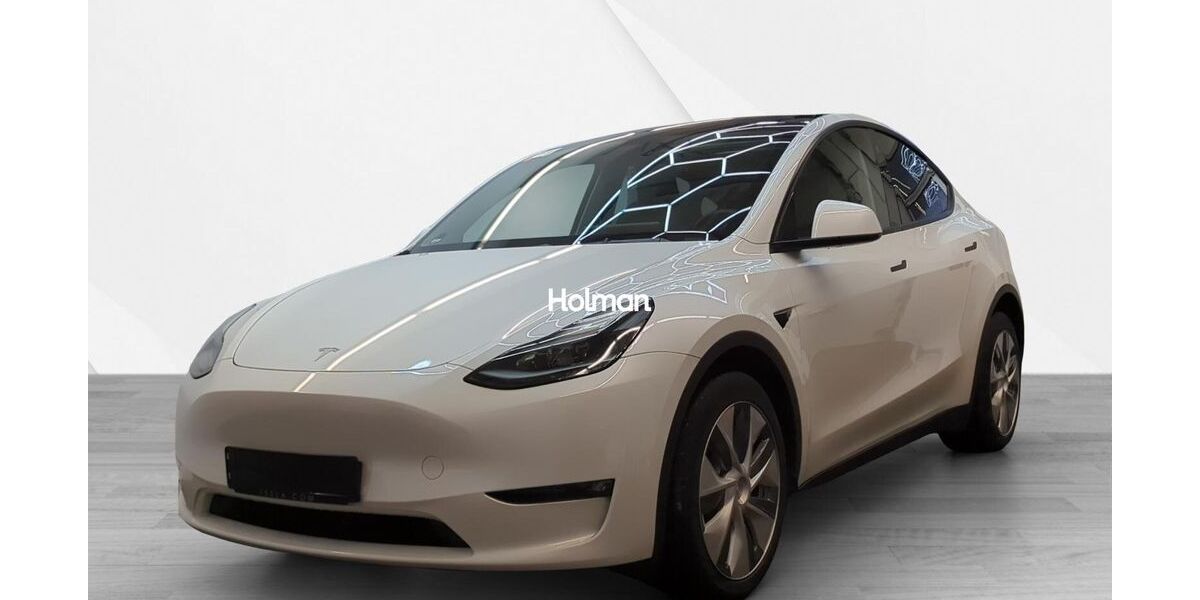 Tesla Model Y 89.866 km 30.463 &euro; Eschborn 65760