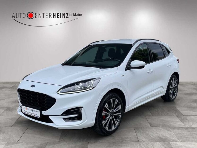 Kuga