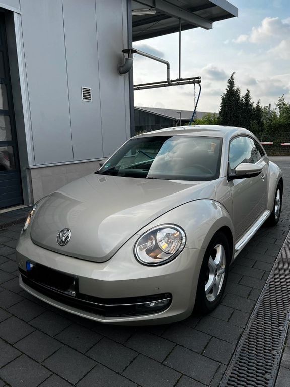 Beetle