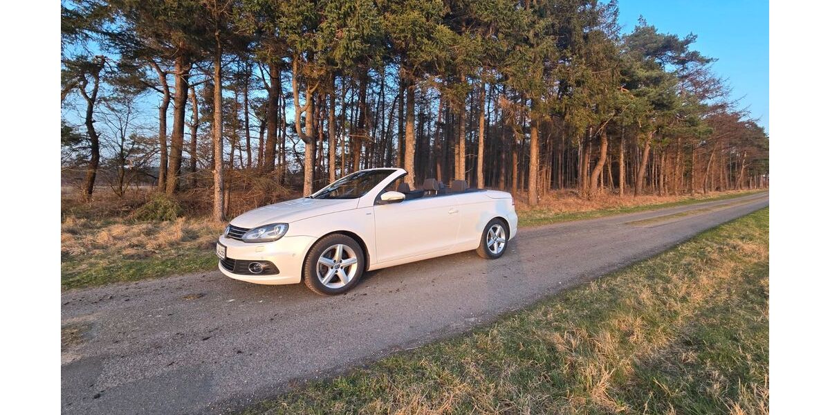VW Eos 78.500 km 13.500 &euro; Lamstedt 21769