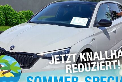 Skoda Scala 95.000 km 18.770 &euro; Marktredwitz 95615