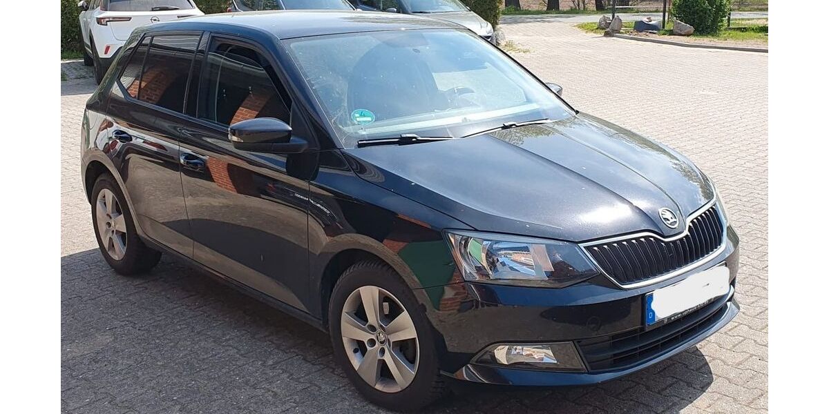 Skoda Fabia 203.000 km 5.000 &euro; Hanstedt 21271