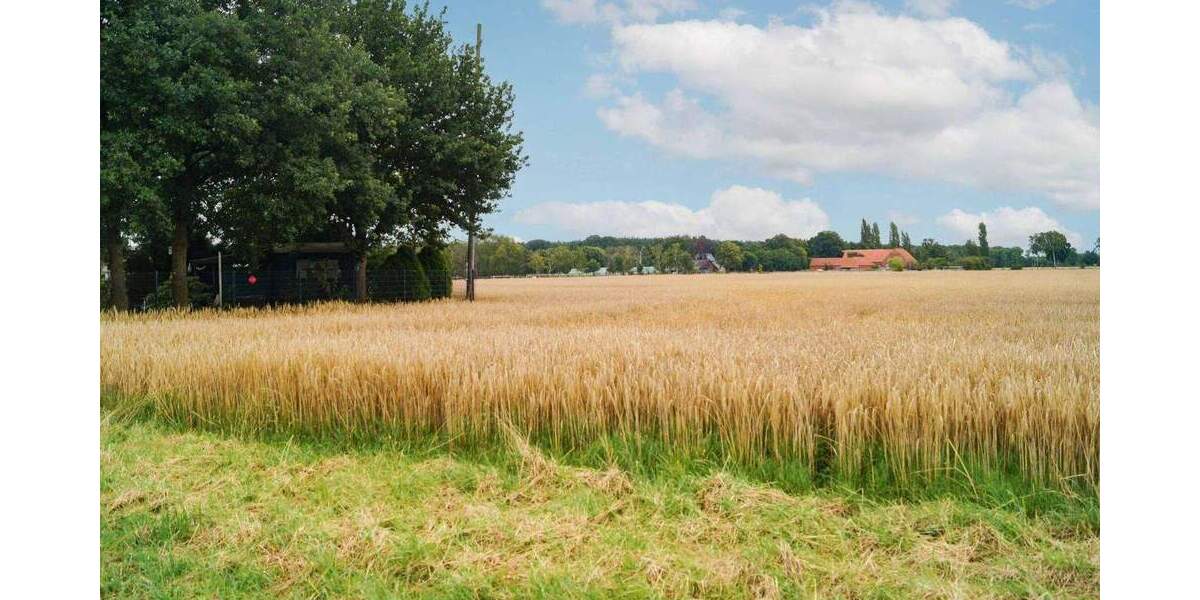 Mehrfamilienhaus, Wohnhaus Weyhe Melchiorshausen - 1 Zimmer, 289 m&sup2;, 648.000&euro; | Angebot:24636180