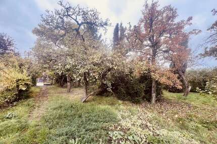 Grundstück Wildau - 350.000&euro; | Angebot:23251919