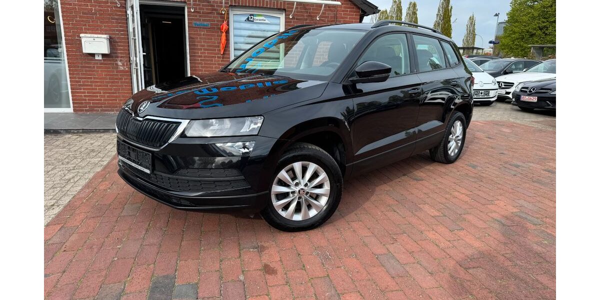 Skoda Karoq 226.080 km 11.900 &euro; Steinfeld 49439