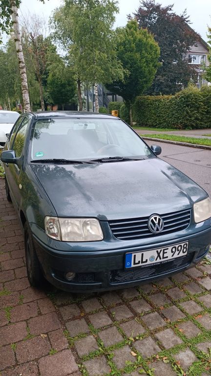 Polo