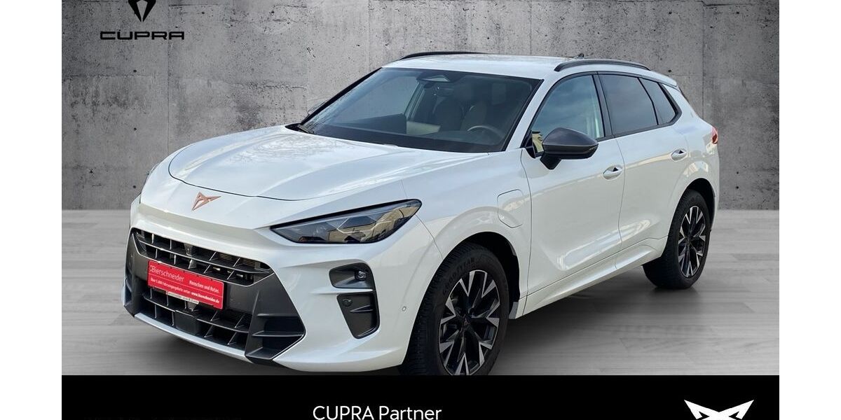 Cupra Terramar 15.400 km 39.550 &euro; Weißenburg in Bayern 91781