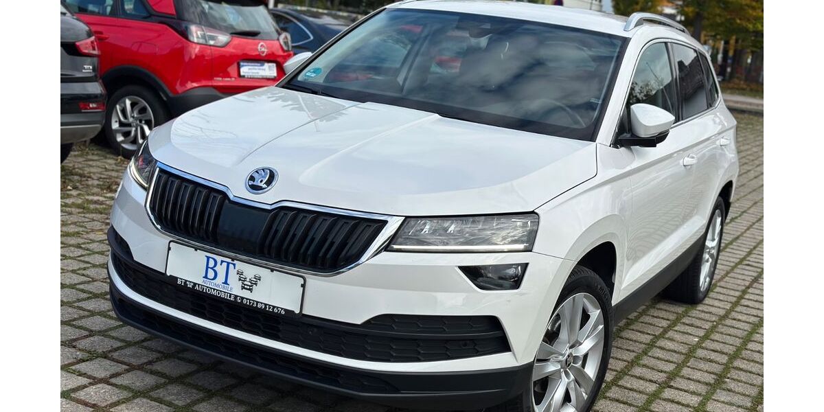 Skoda Karoq 162.000 km 15.900 &euro; Hofstetten 86928