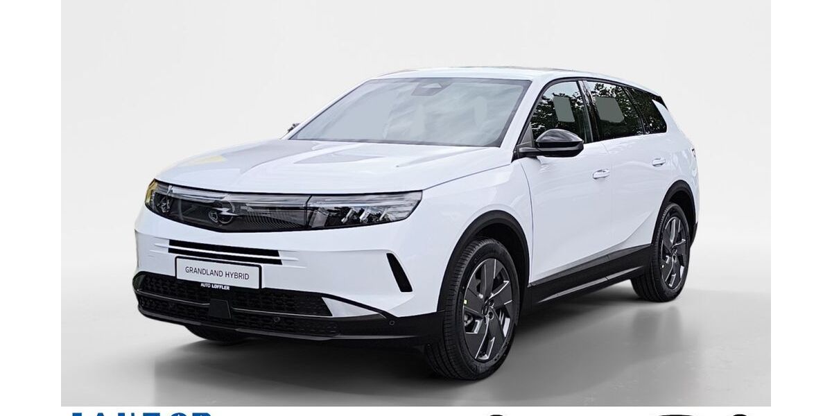 Opel Grandland (X) 1.363 km 29.880 &euro; Schweinfurt 97424