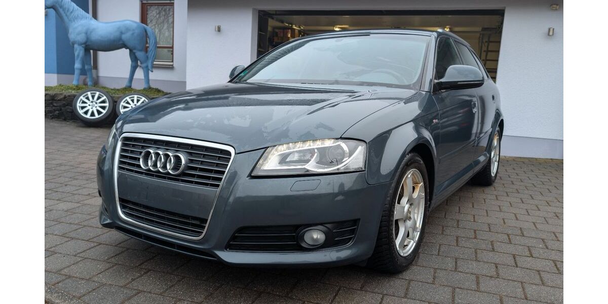 Audi A3 120.000 km 9.250 &euro; Liebshausen 55494