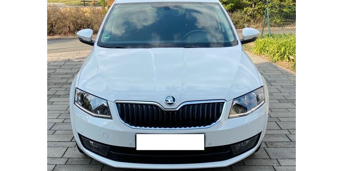 Skoda Octavia 65.150 km 15.990 &euro; Weißenfels 06667