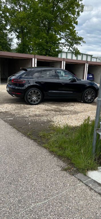 Macan