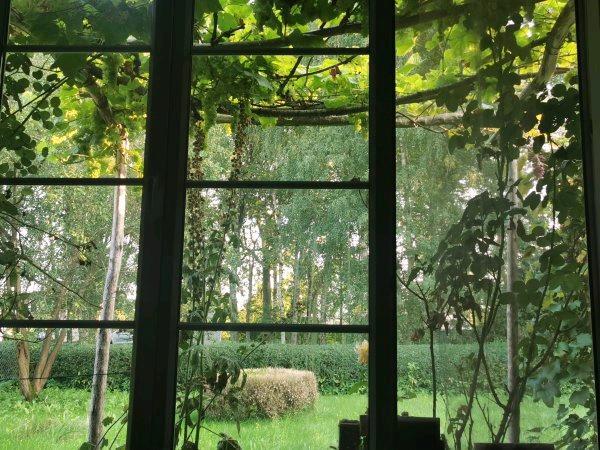 Bauernhaus, Landhaus Ducherow - 4 Zimmer, 100 m&sup2;, 289.000&euro; | Angebot:26722138